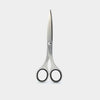 Allex Scissors Silver - KANSO#Color_Silver